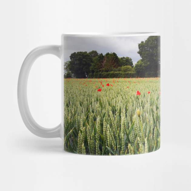 Poppies in the Corn Field | Worcester, Worcestershire, UK by stuartjsharples